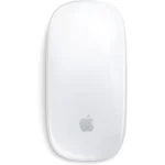 Apple Magic Mouse Plata